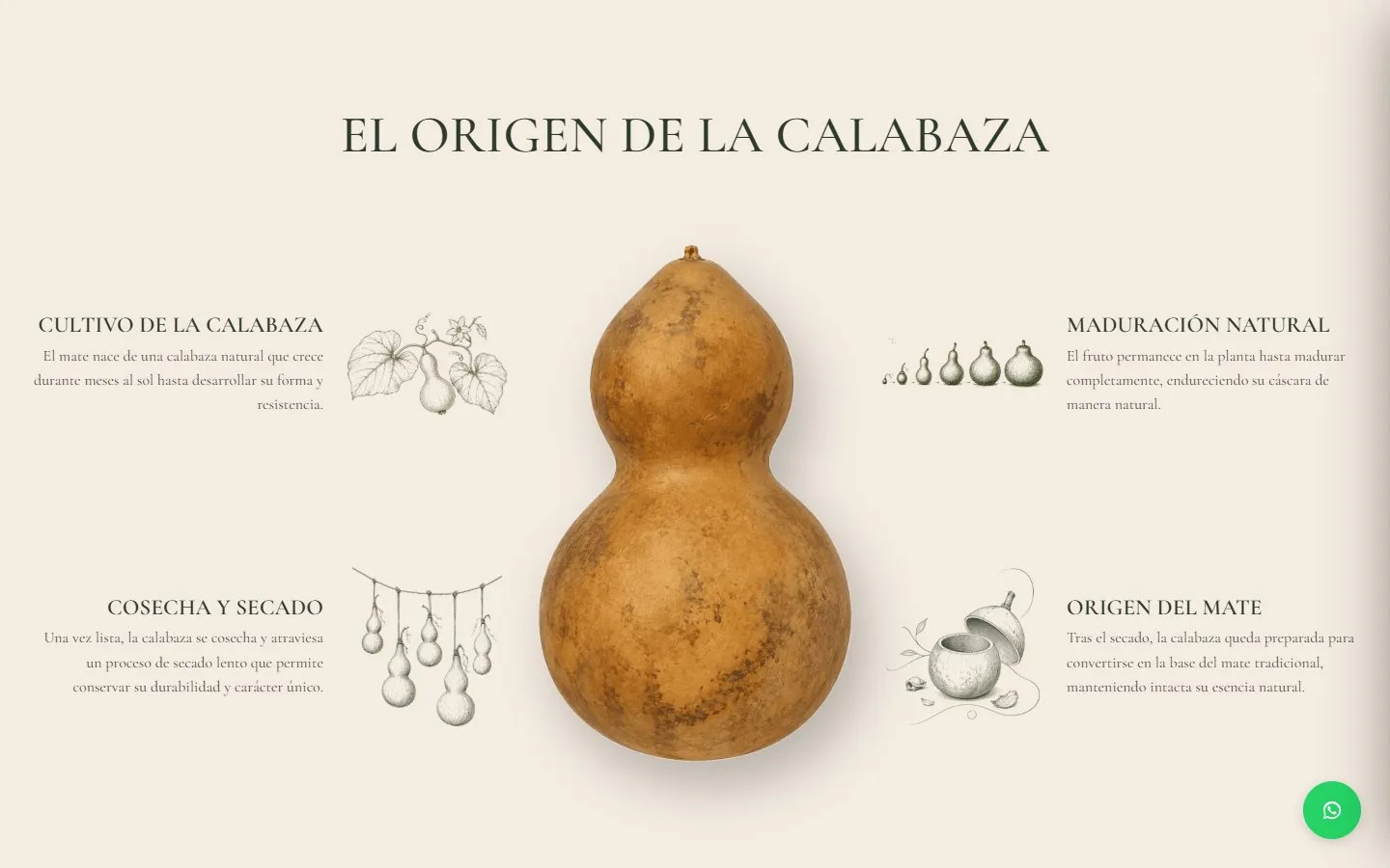 JIcrea: El origen de la calabaza